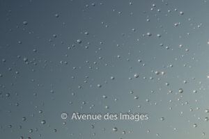 Raindrops on glass lit by the sun