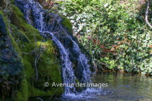 Still water of the waterfall