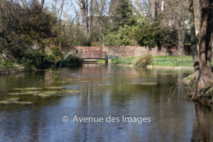 Town hall pond and footbridge