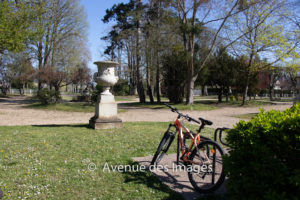 Bike, urn and trees