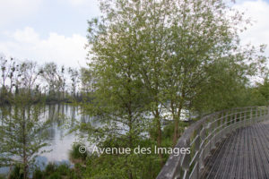 viewing area on the quai de Gaillon