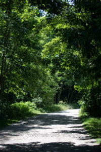 Track around the lake