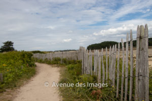 Path on the southern coast