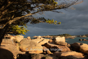 late evening sun on the rocks