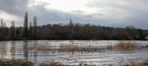 Rising level of river Seine