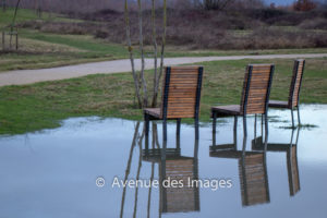 Chairs in a puddle