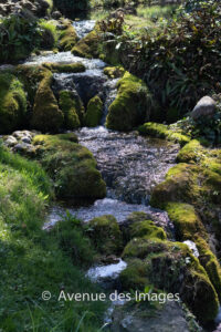 Cascading waterfall on a stream