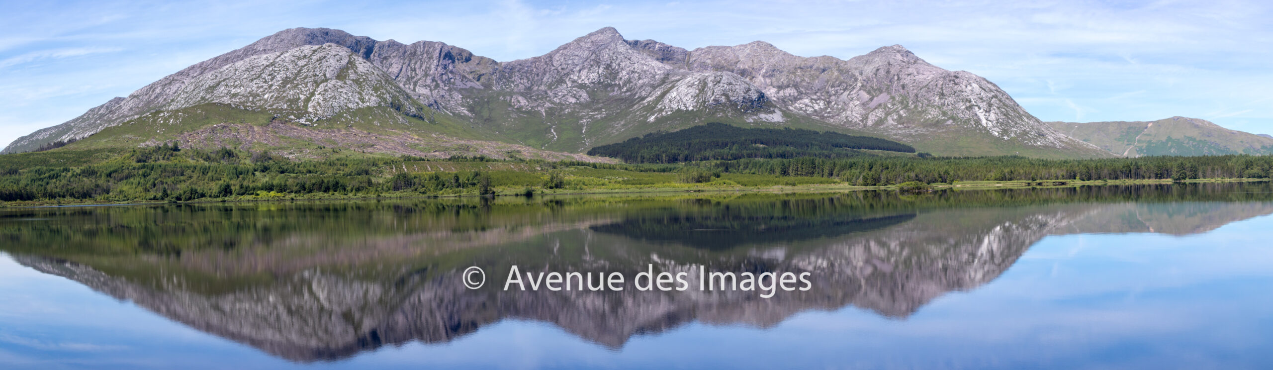 Reflection in a lake 