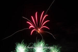 Flower firework