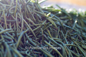 French green beans