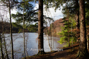 River seen from the path to Faskally Forest