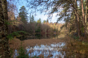 Loch Dunmore