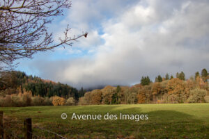 Grassy field by the Tummel