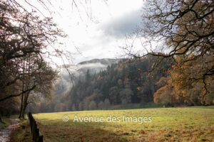 Field by the river Garry