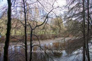 The banks of the river Garry