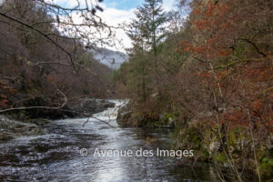 Looking upstream to the rapids