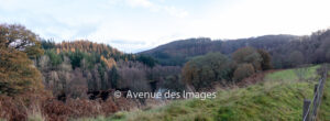 View of the river Tummel from the road