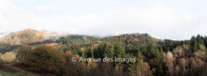 Clouds over the Faskally forest