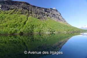 Steep Tree Covered Cliffs Reflecting In The Calm Fjord